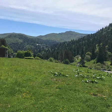 Altura T2 Duplex Wifi Au Pied Des Montagnes * Le Lioran